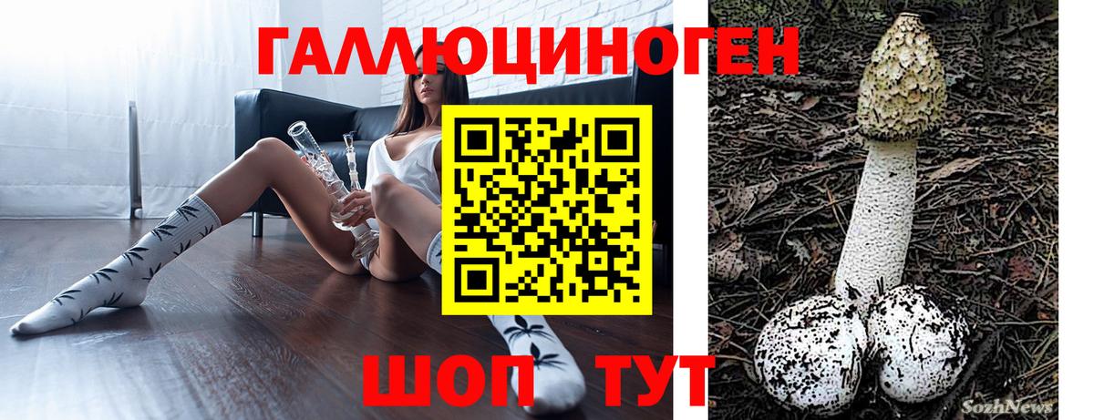 Пушкино  Псилоцибиновые грибы MAGIC MUSHROOMS  Вход с VPN 