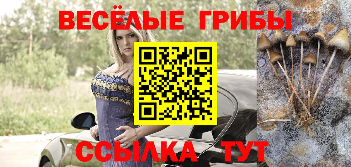 Псилоцибиновые грибы Psilocybe Пушкино